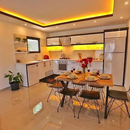 Villa Antalya Uezuemlue Boelgesinde Oezel Havuzlu Kaş